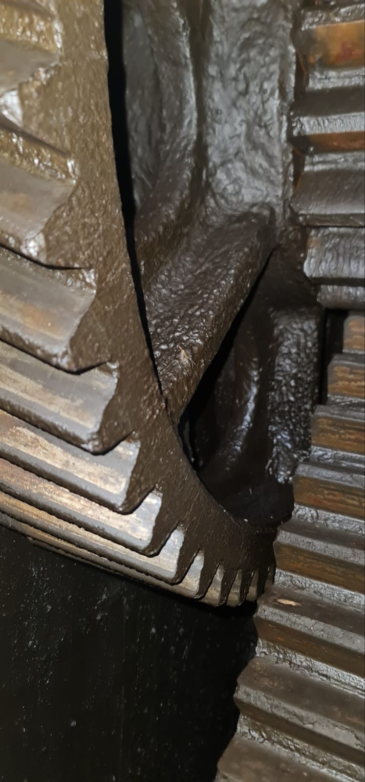 WhatsApp Image 2026-03-23 at 13.06.31 (2)