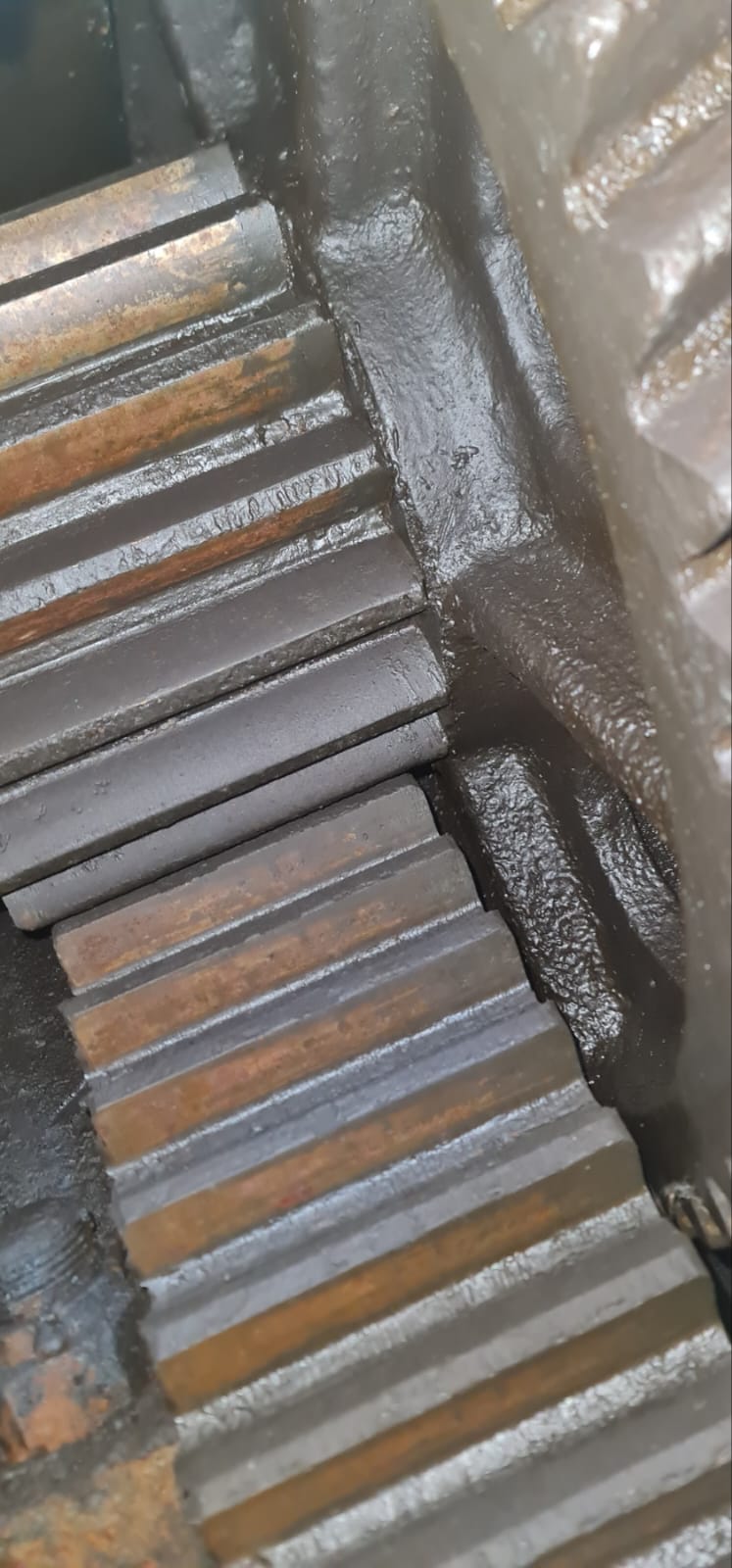 WhatsApp Image 2026-03-23 at 13.06.31 (4)