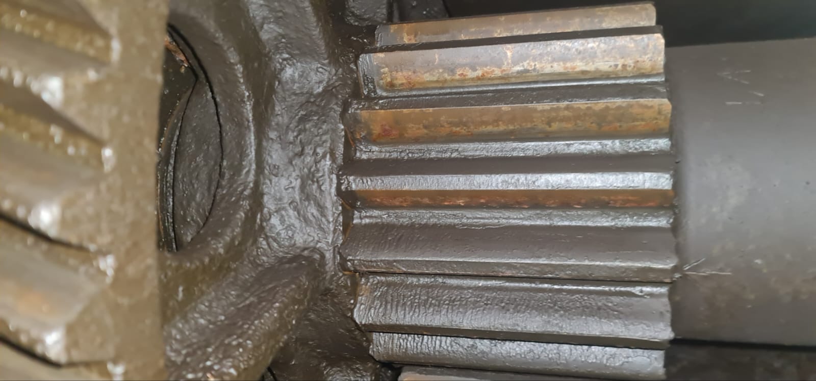 WhatsApp Image 2026-03-23 at 13.06.31 (5)