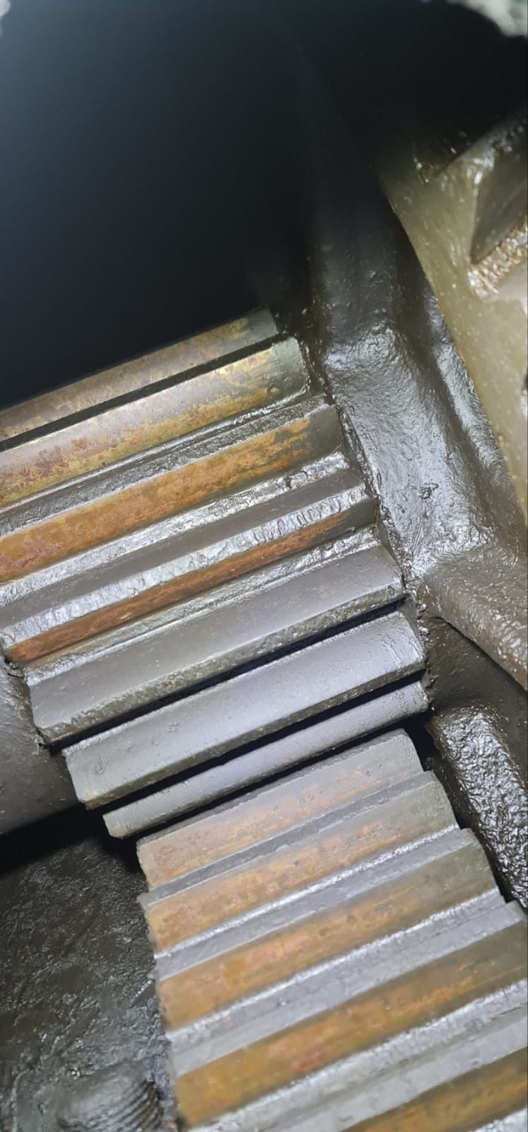 WhatsApp Image 2026-03-23 at 13.06.31 (6)