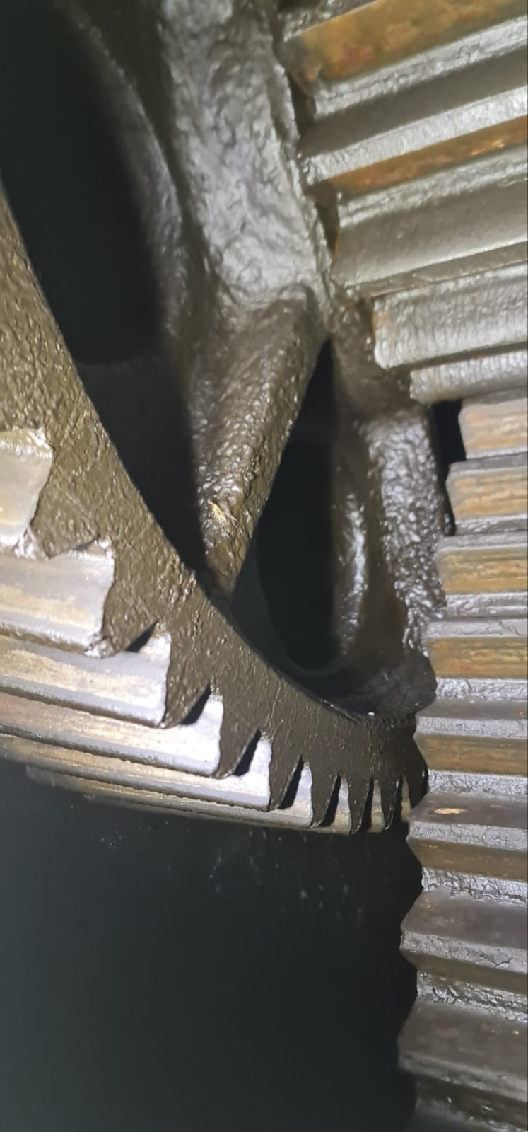 WhatsApp Image 2026-03-23 at 13.06.31 (7)