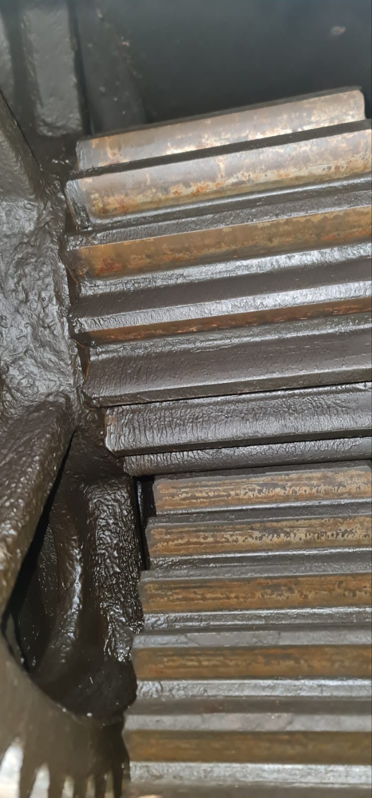 WhatsApp Image 2026-03-23 at 13.06.31 (9)