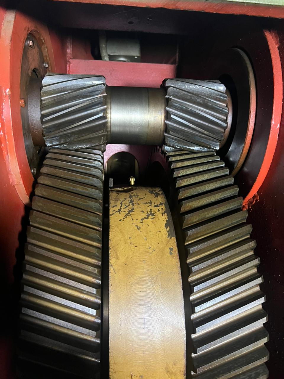 WhatsApp Image 2026-03-25 at 14.23.51