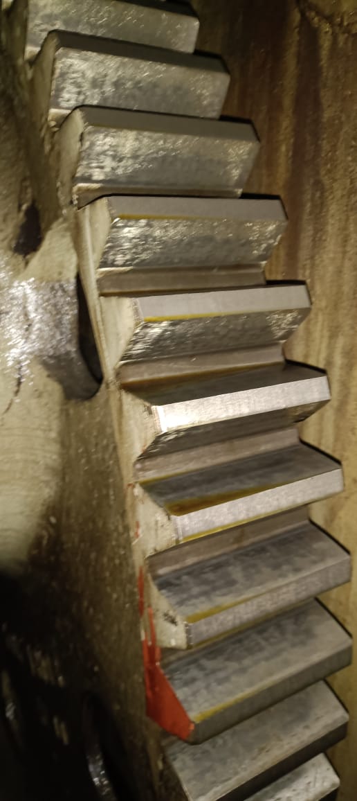 WhatsApp Image 2026-03-27 at 09.52.10 (4)